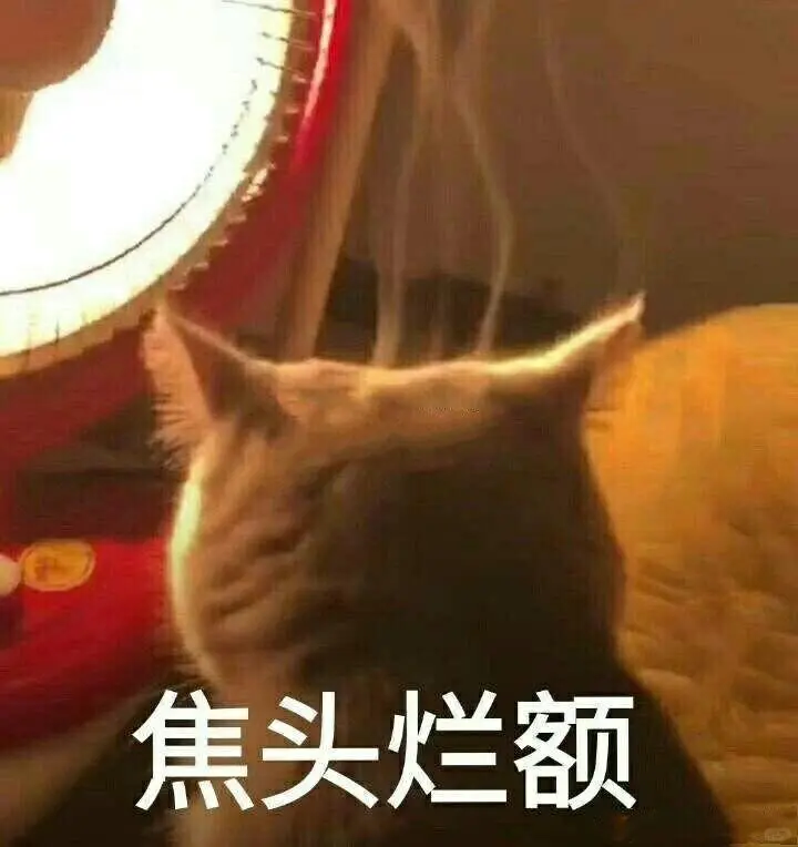 蛇口～迪拜/UMM N现舱 需要的私我
