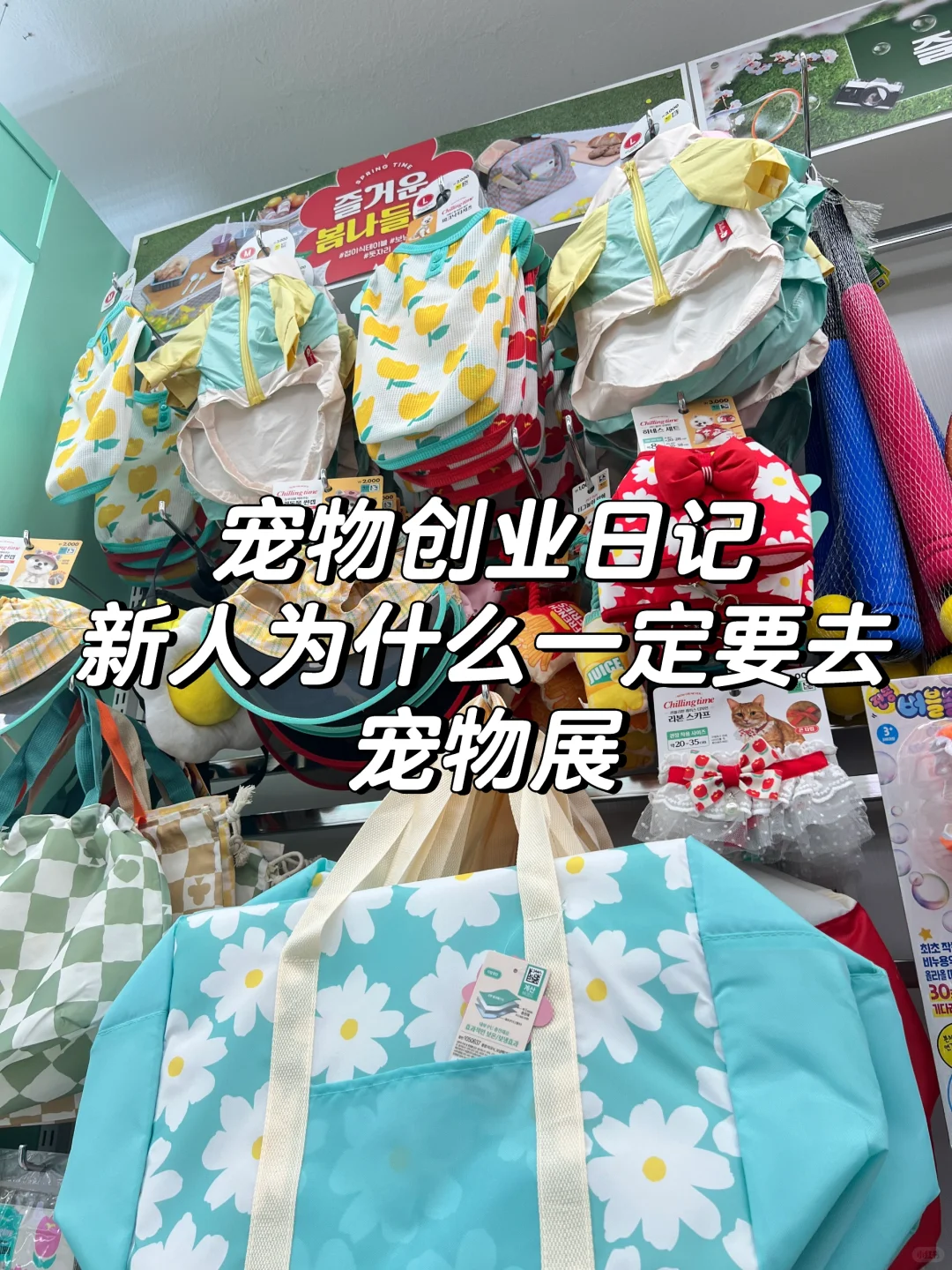 宠物创业日记 |为什么一定要去宠物展