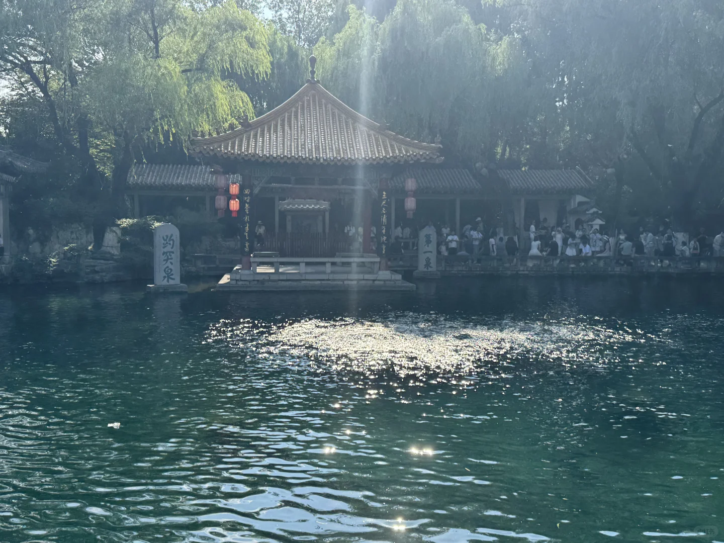 山东中医药大会交流学习