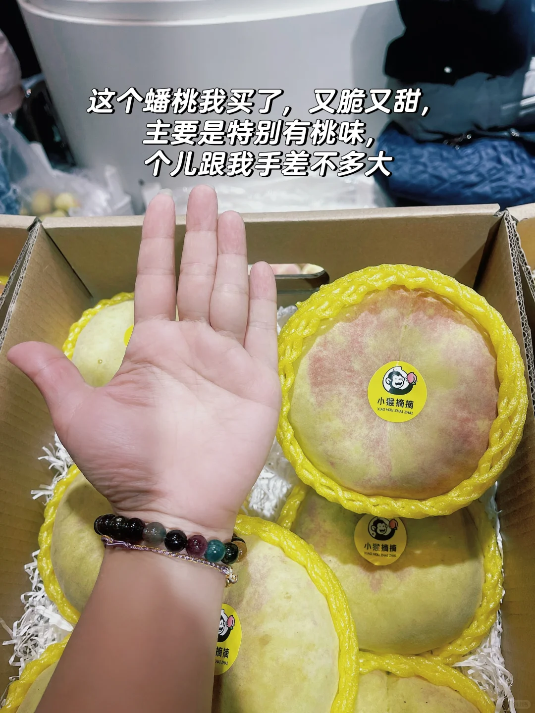 人在天津的不要错过,明天最后1⃣️天❗️