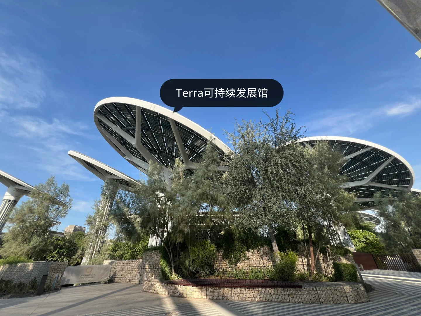 迪拜|世博园EXPO 2020暴走看建