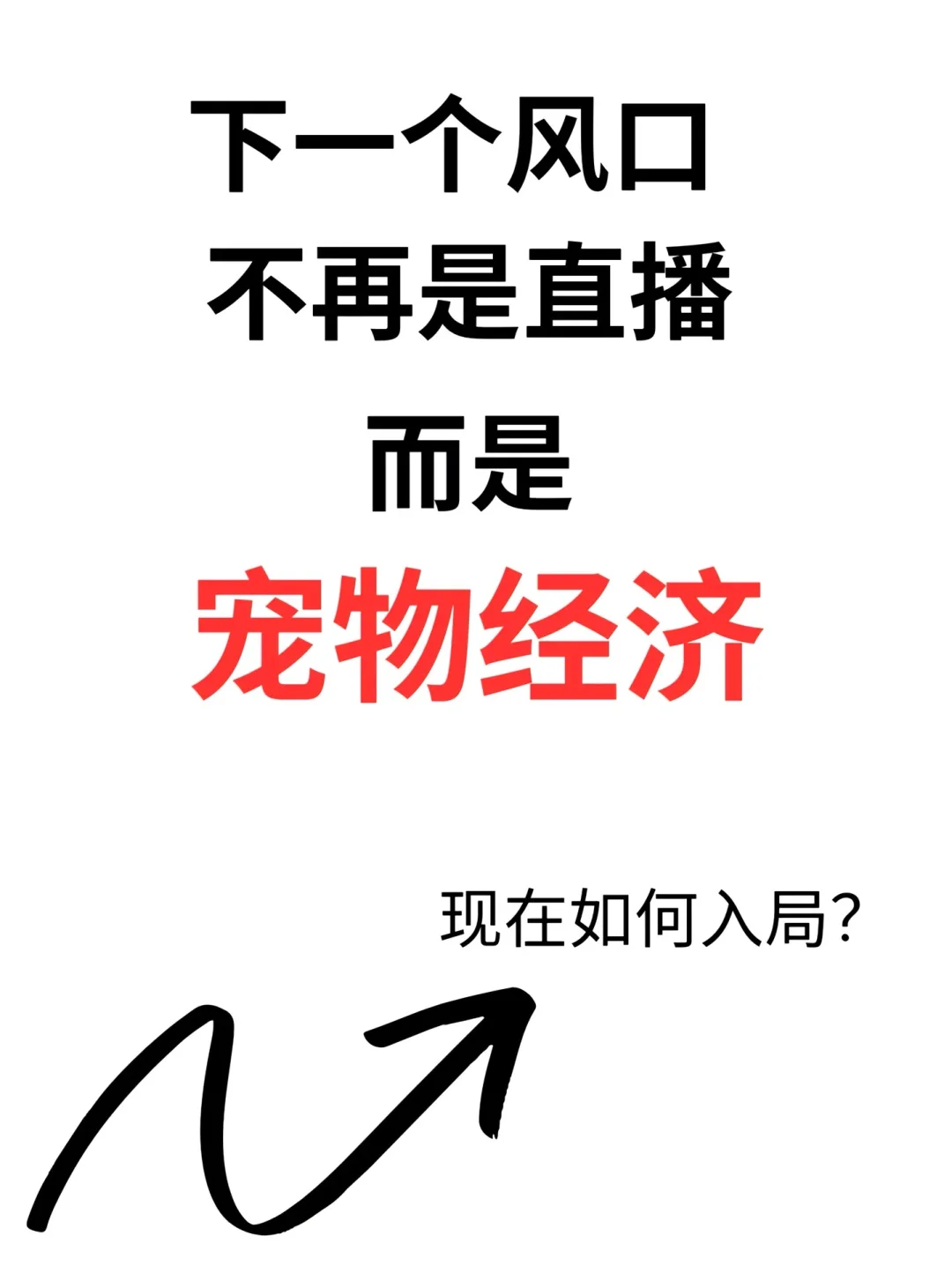 下一个风口“宠物经济”
