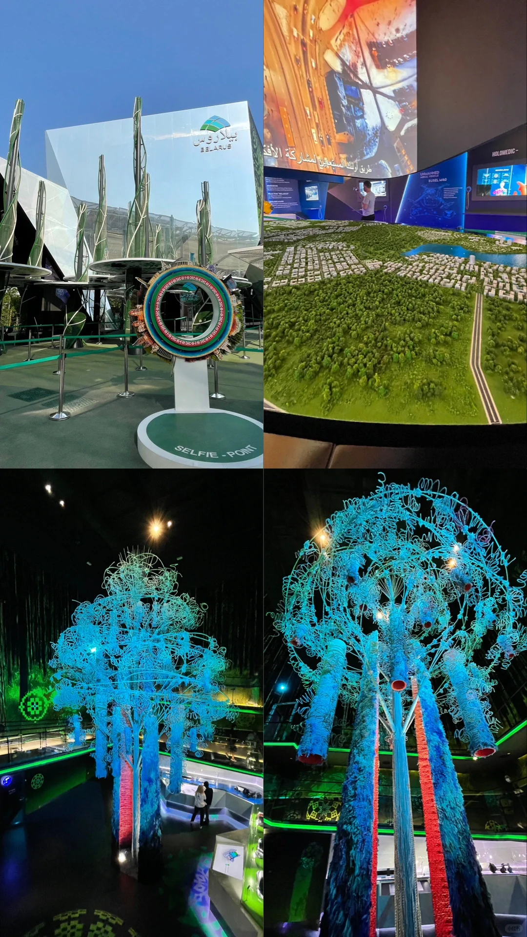 我的迪拜2020世博会之旅!?✨