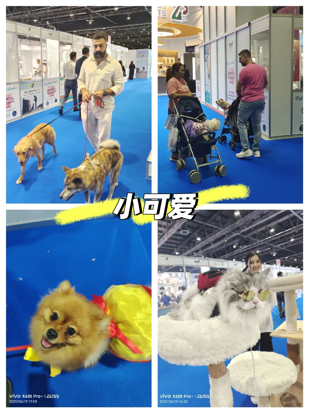 2025迪拜宠物展