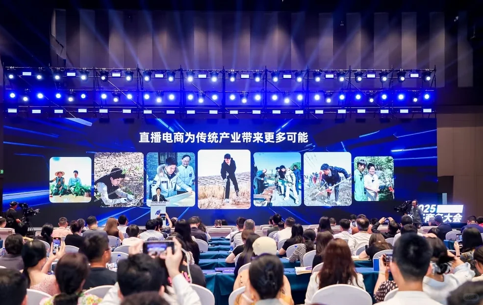董宇辉2025电子商务大会演讲文字总结