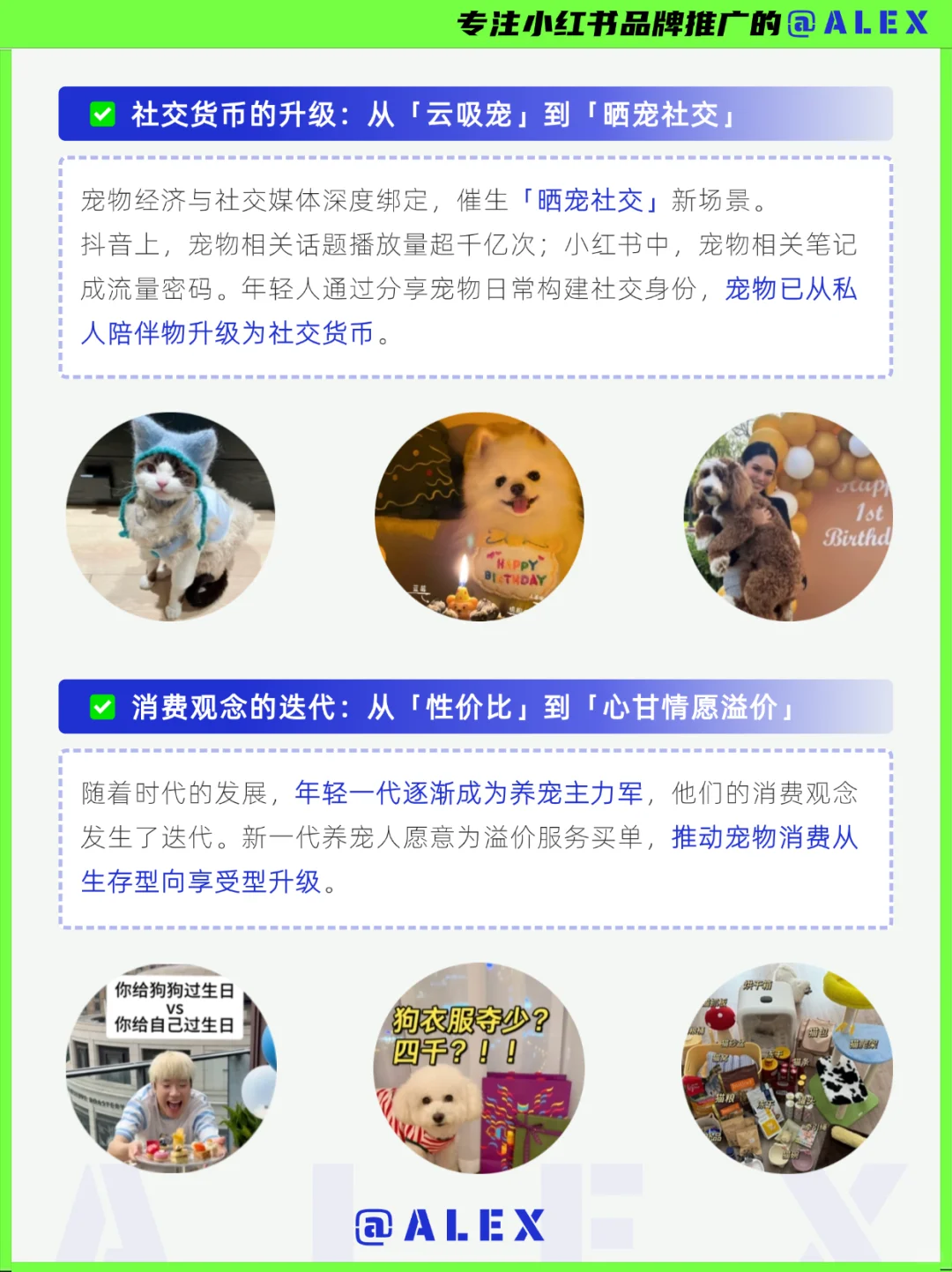 下一个母婴赛道?2025最新万亿市场宠物经济