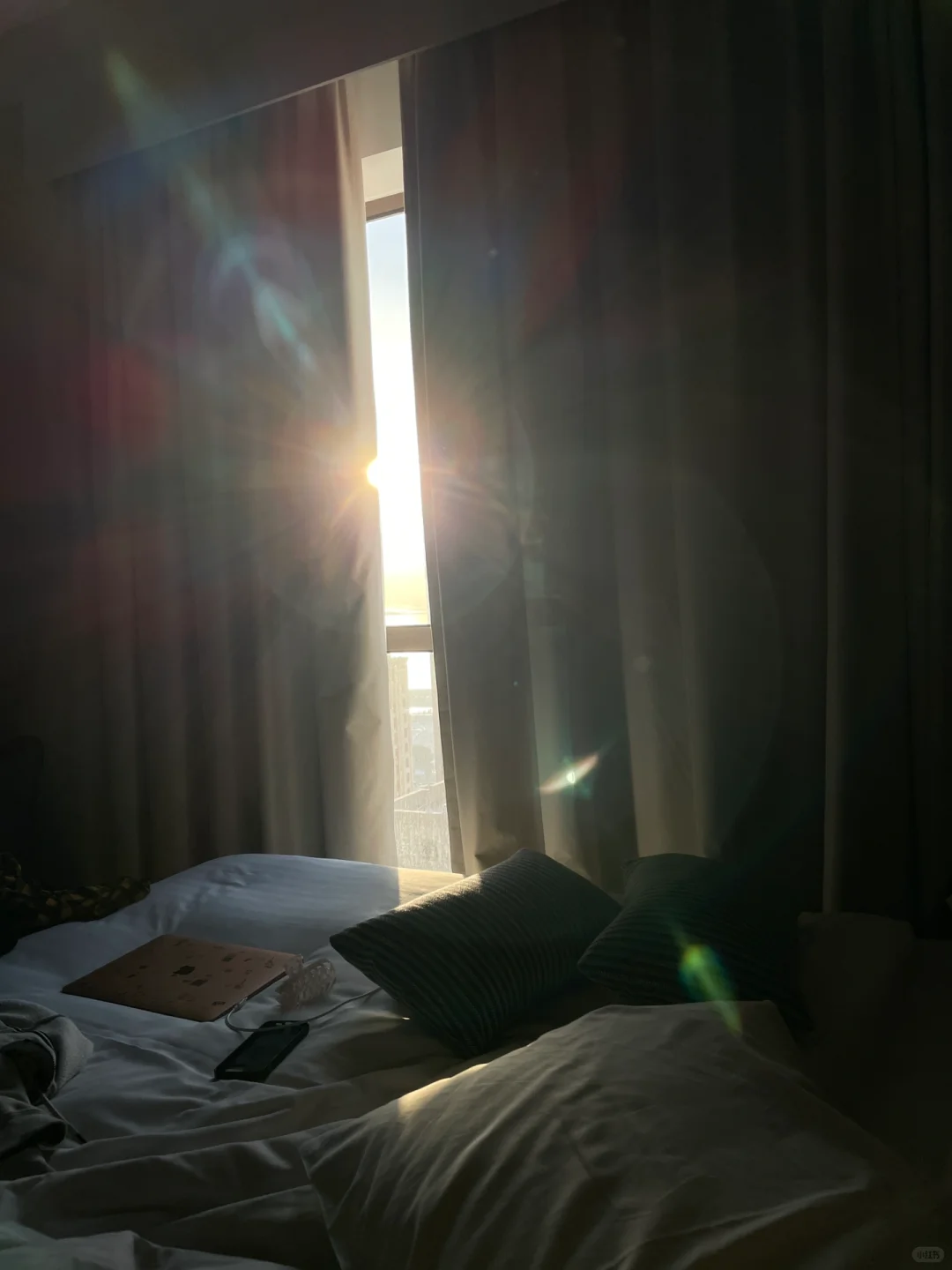 我的迪拜2020世博会之旅!?✨
