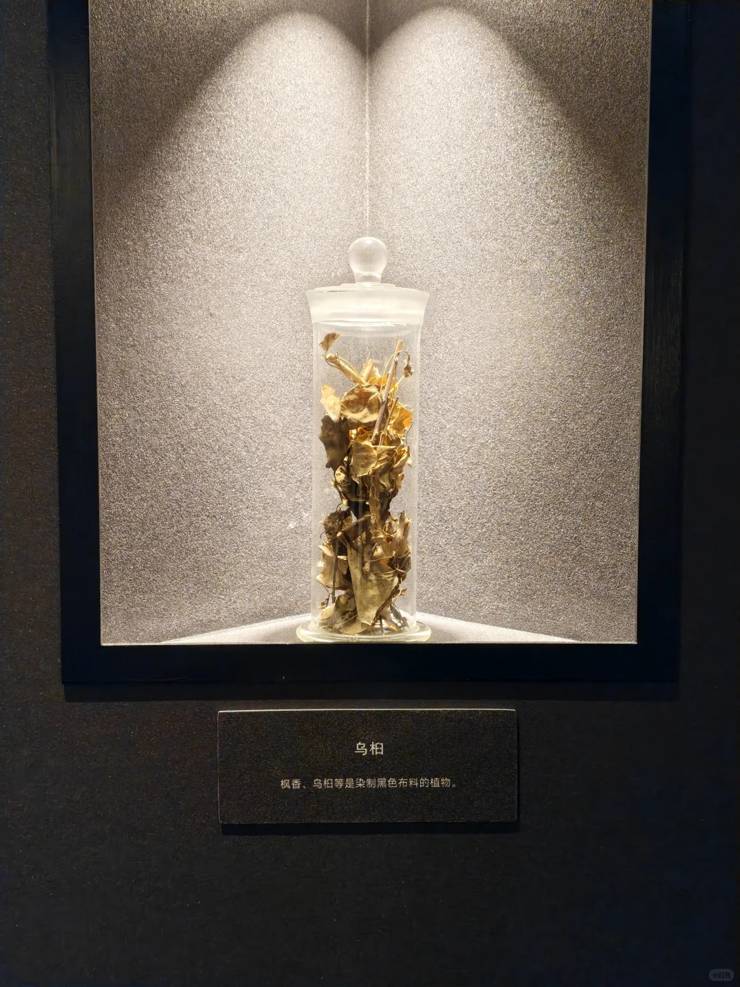 西南少数民族的服饰美学