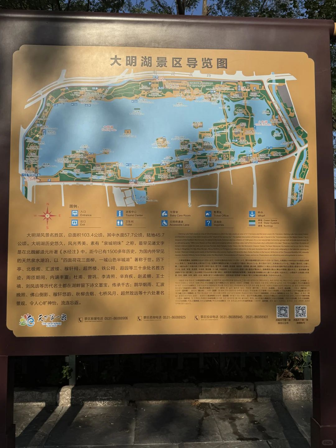 山东中医药大会交流学习