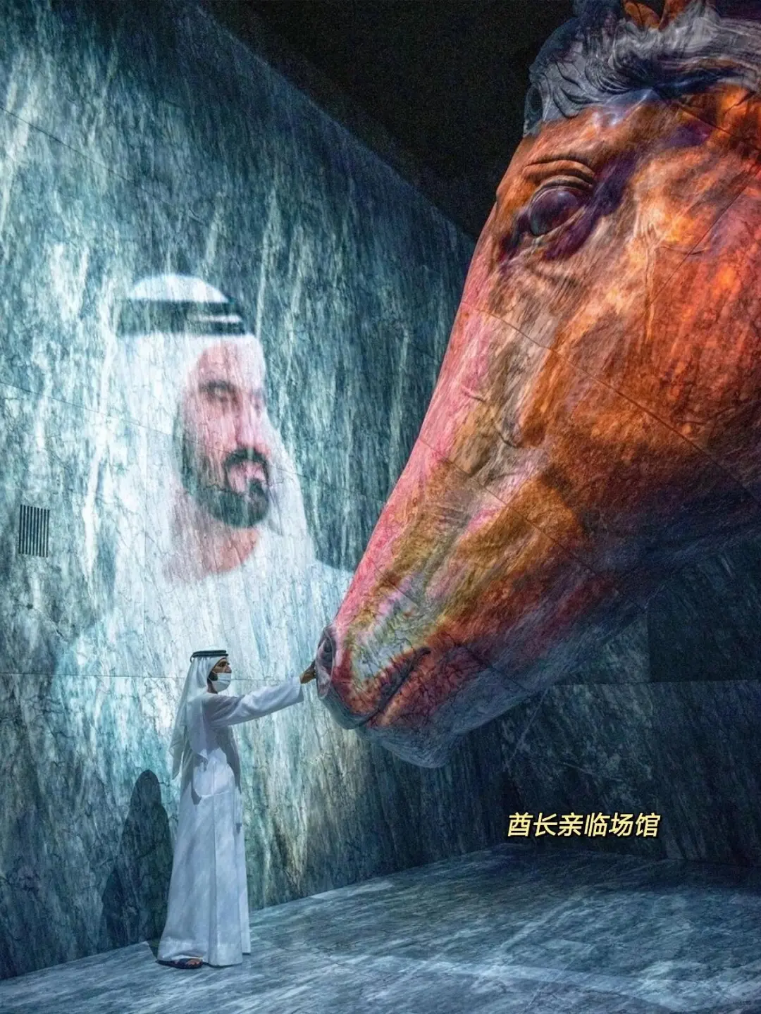 迪拜世博园怎么玩才不白来