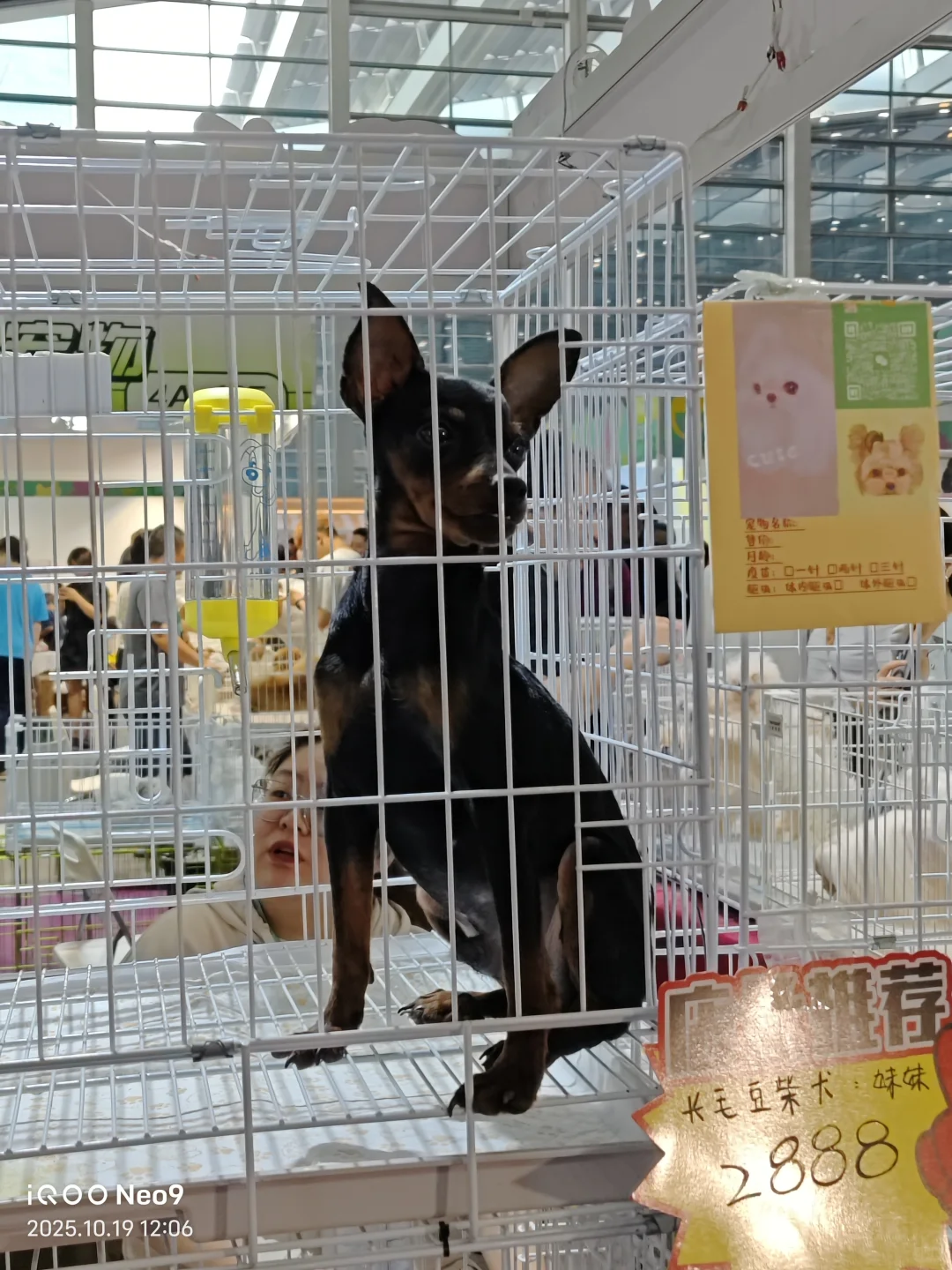 宠物用品展