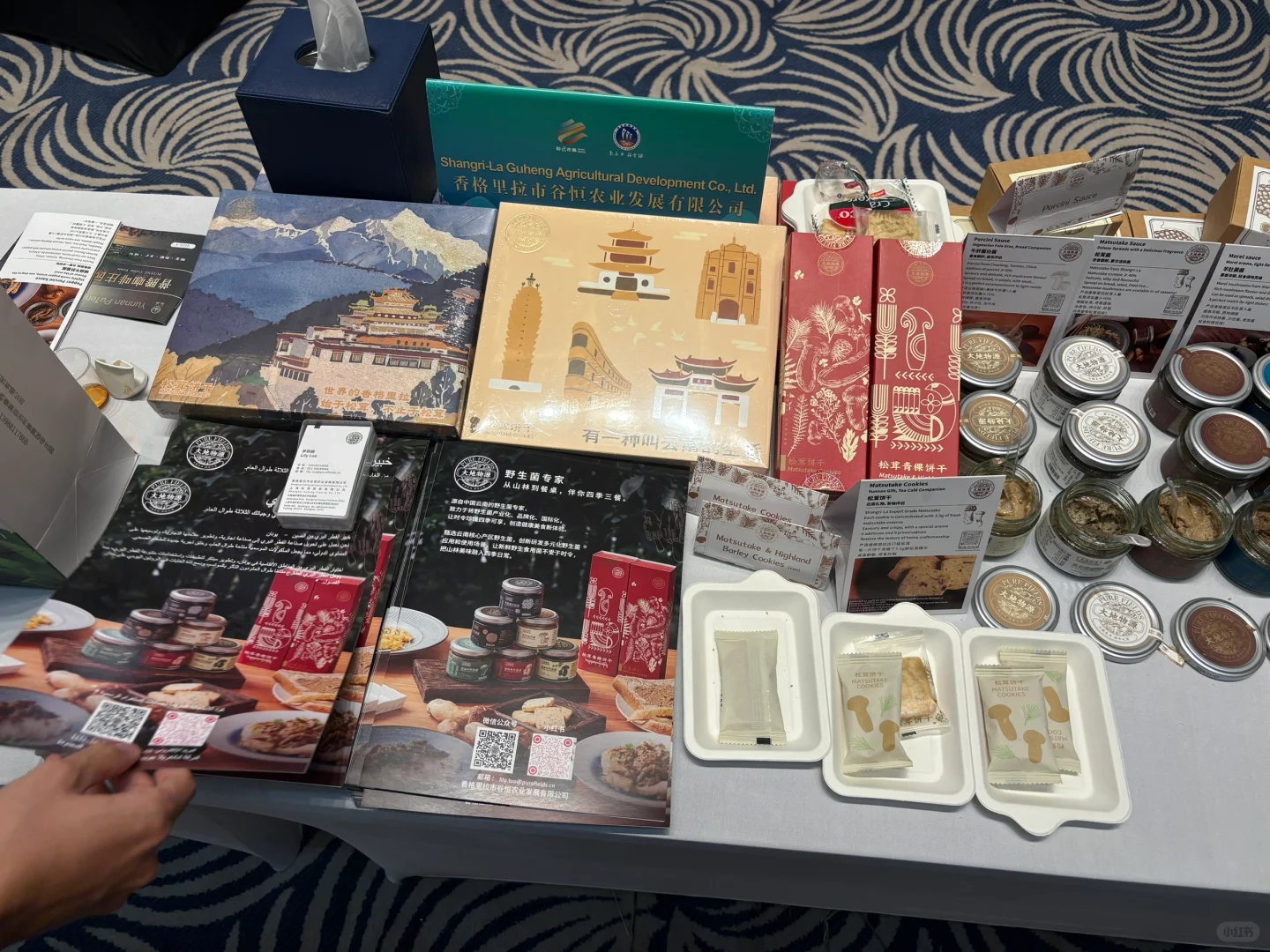 为什么我觉得出海中东是好的选择