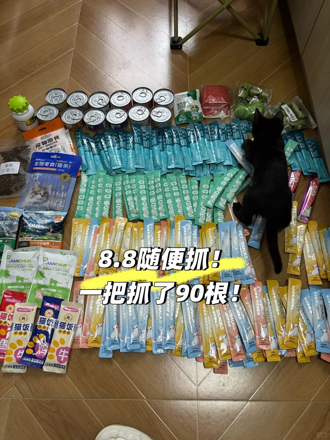 家有毛孩儿的快去会展中心！最后一天啦！?