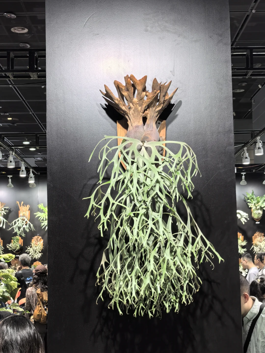 热植展去到就是赚到!年轻人的鸡蛋太多啦