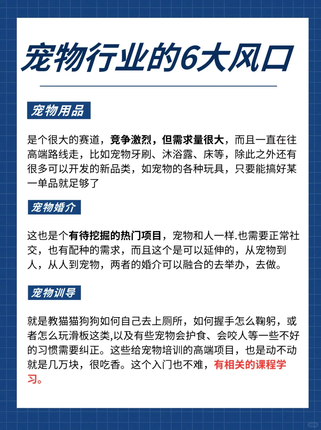 下一个风口“宠物经济”