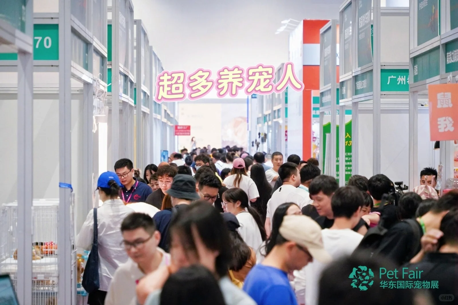 浙江人又幸福啦！华东宠物展开幕啦