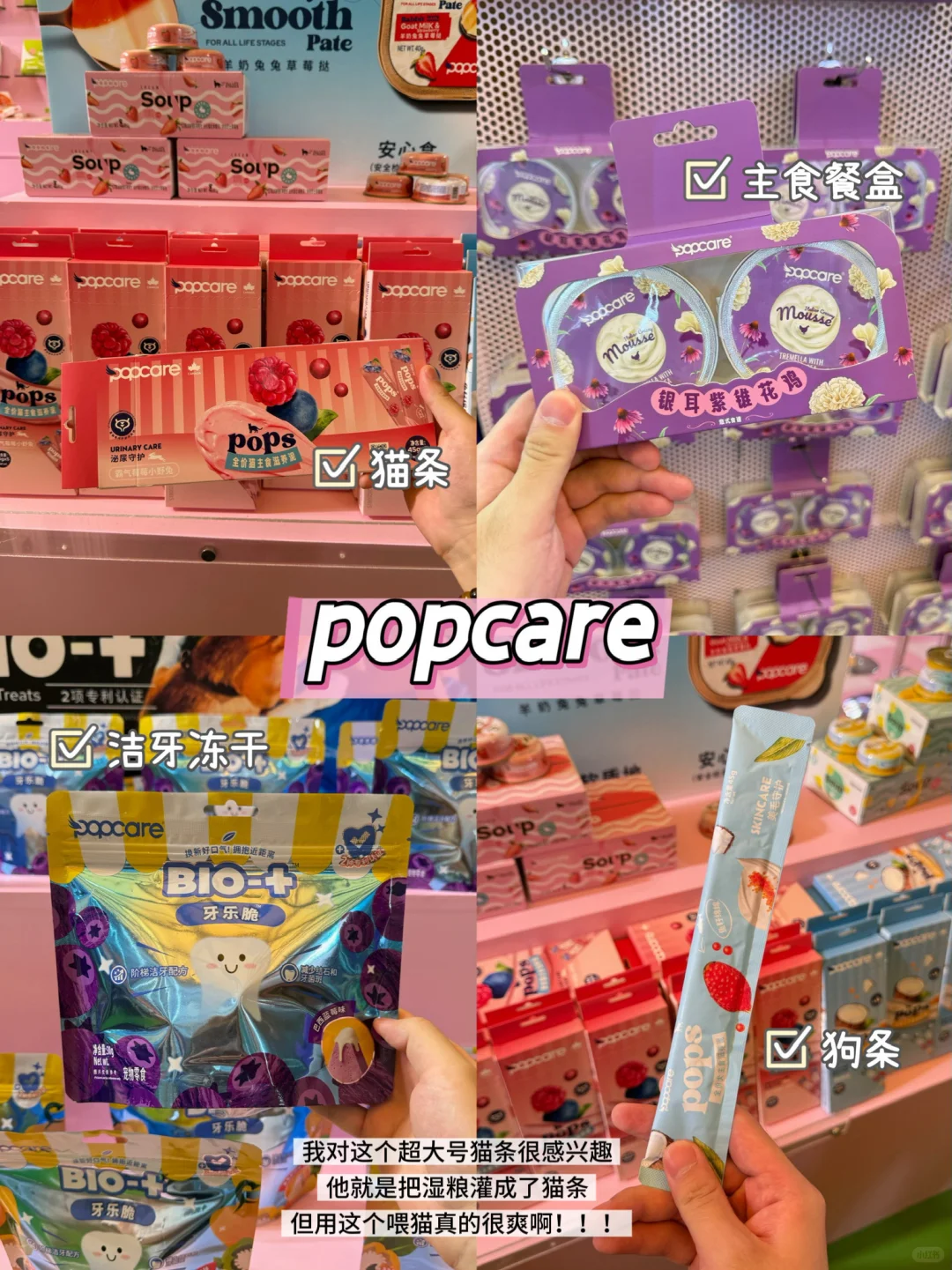 亚宠展新品?宠物团长带你一起逛展呀‼️