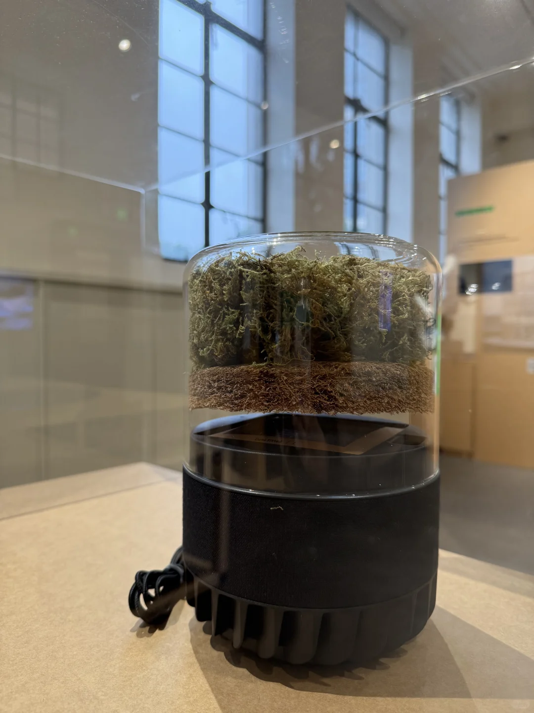 上海好展 ｜ 绿动生长可持续设计展
