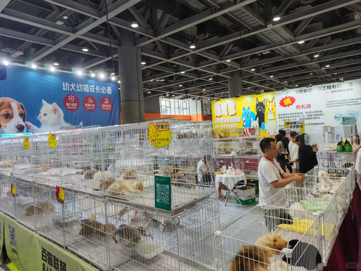 来宠物展玩,随便思考一下宠物陪伴经济