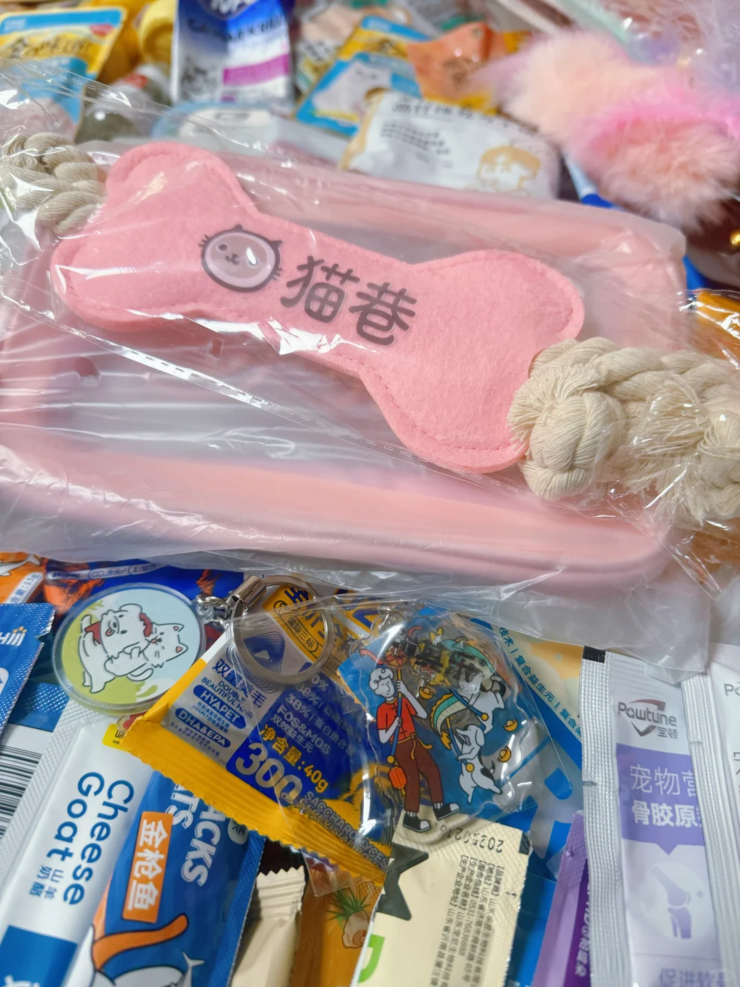 2025京宠展攻略已做好❗只去一天的必看❗️