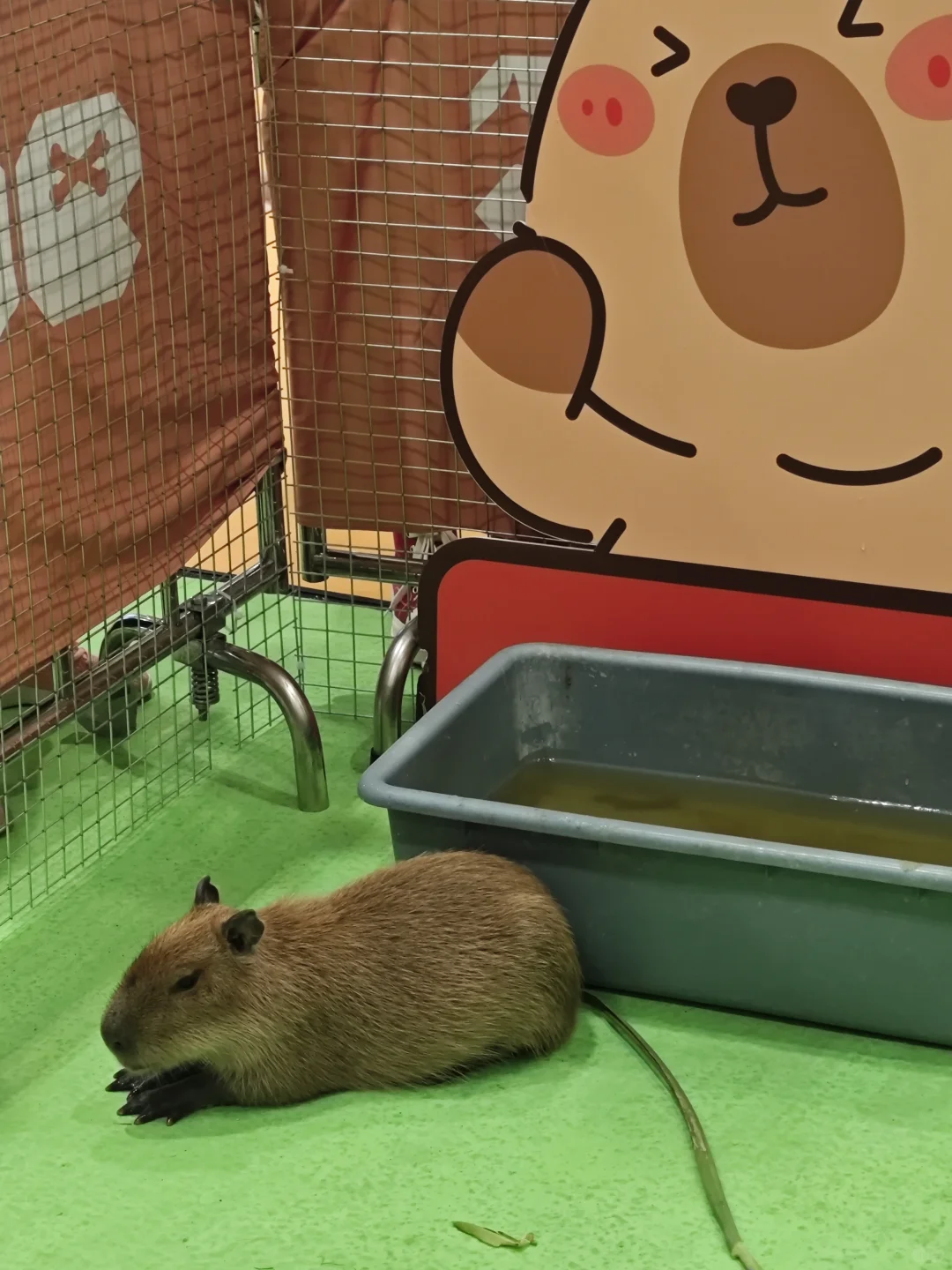 礼品展结算画面