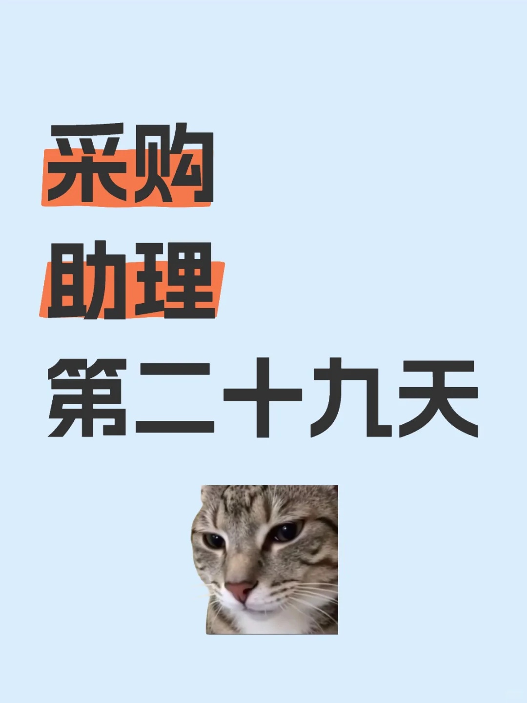 采购助理第二十九天，今天跟我说要转正了