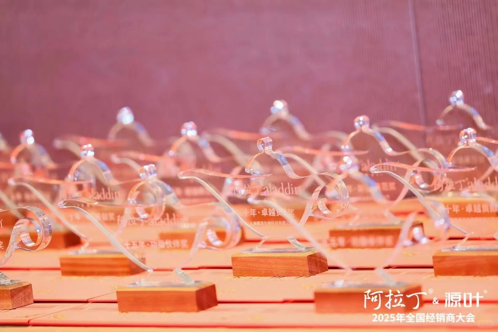 阿拉丁&源叶2025年度经销商大会