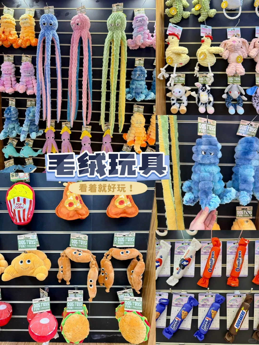 亚宠展新品?宠物团长带你一起逛展呀‼️
