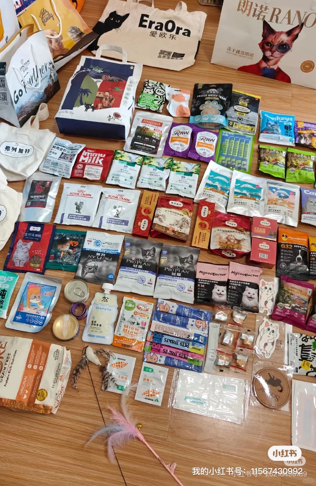 北京铲屎官来看!!20解锁北京宠物展周五门票