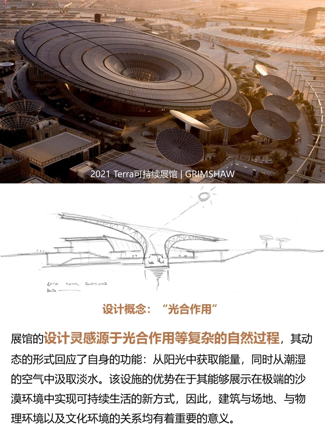28-36《1000个建筑的诞生》