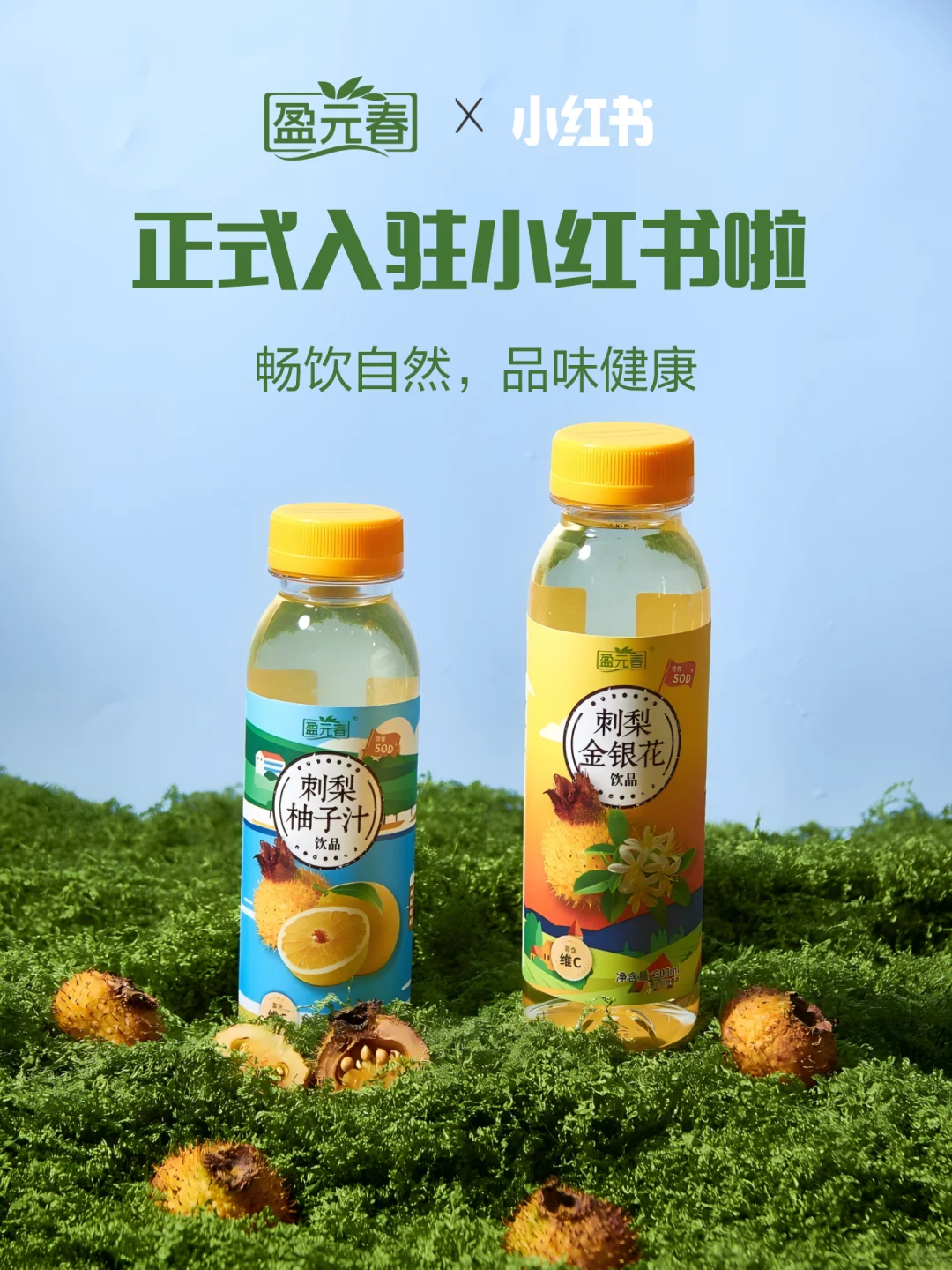 官宣‼️盈元春正式入驻小红书