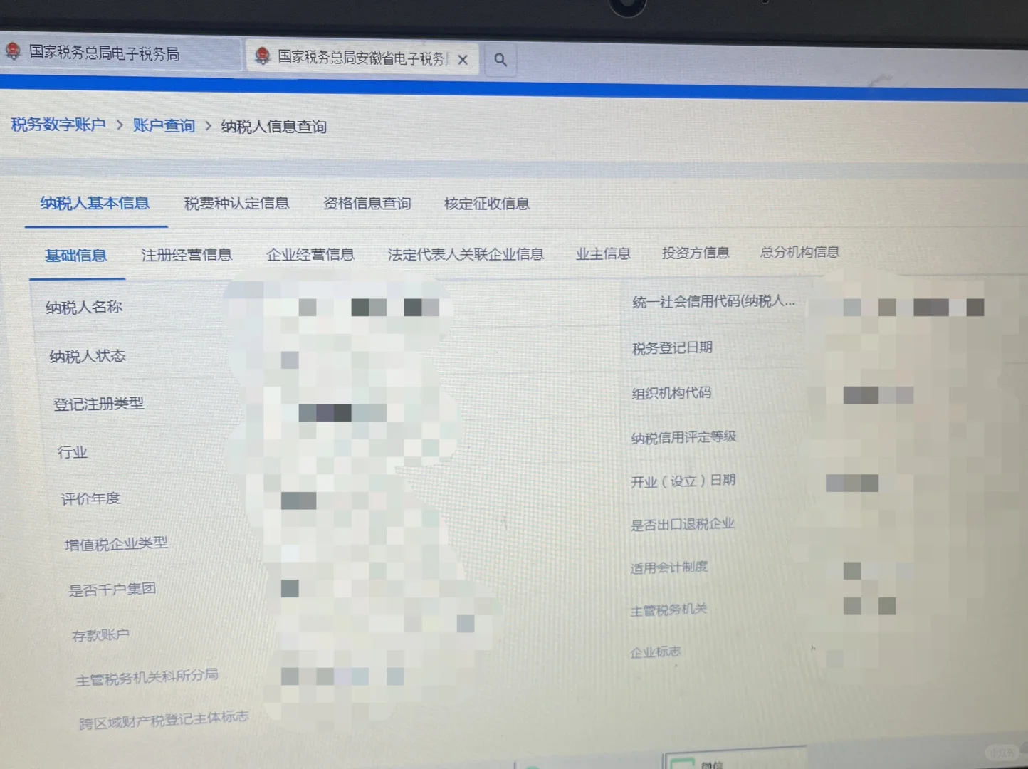 新电子税务局纳税人信息查询
