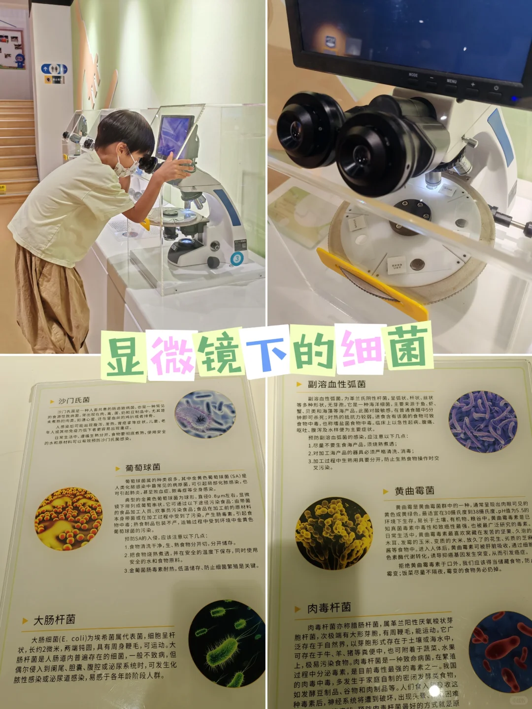 什么？！免费又好玩的食品科普馆竟然没人！