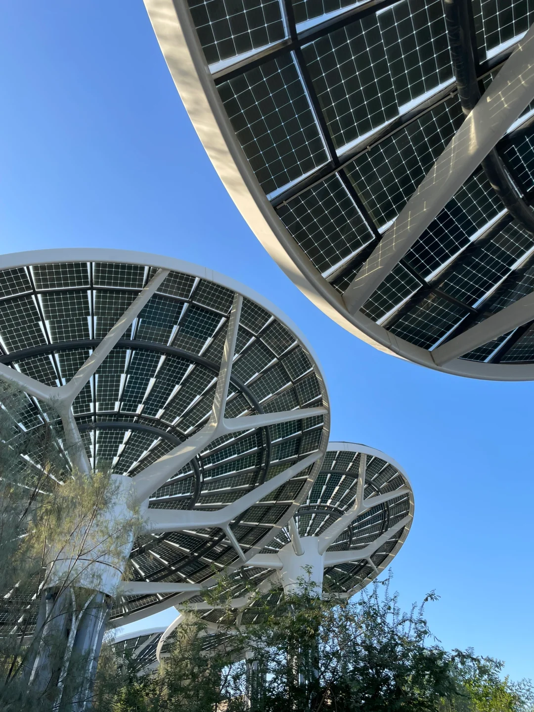 迪拜|被荒废的2020世博园,还值的去吗