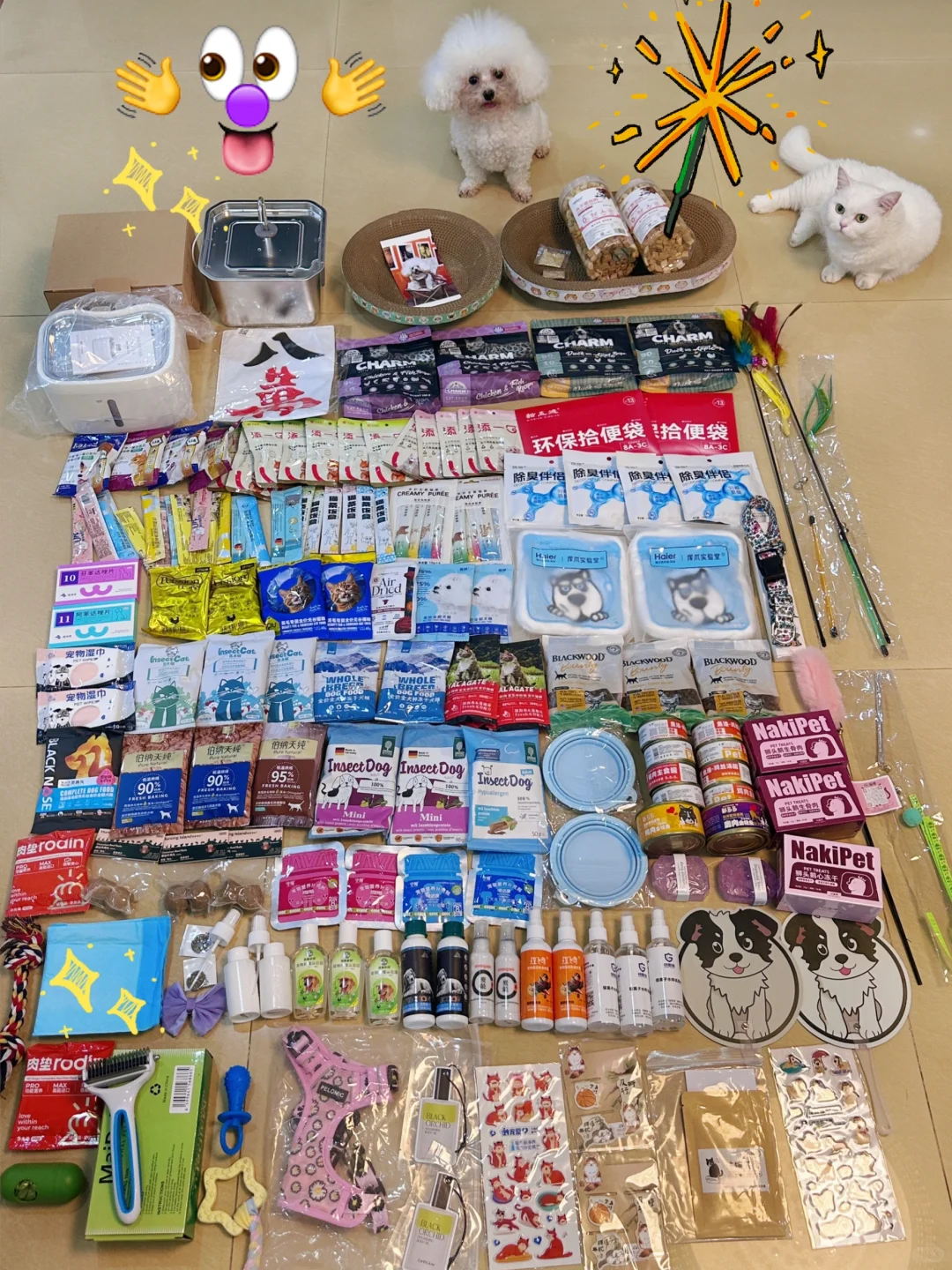 深圳宠物展战绩‼️还有谁‼️【附真实攻略】