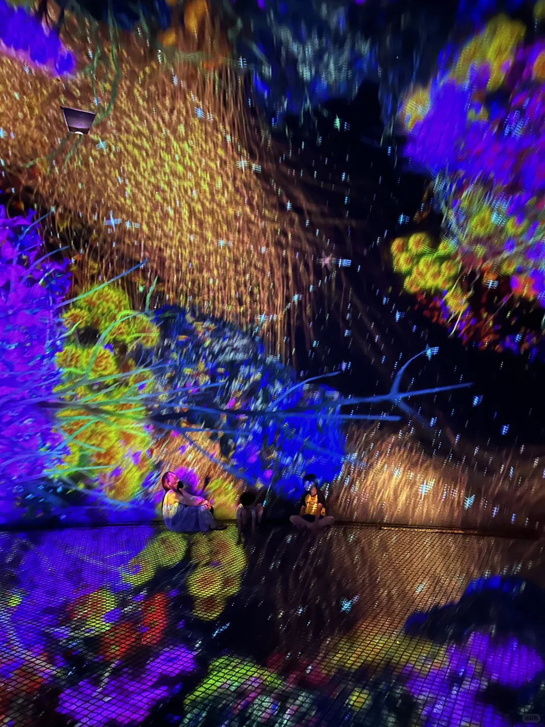??阿布扎比|全球最大teamlab沉浸体验⭐️