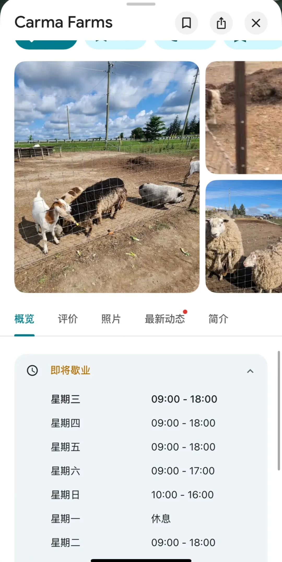 万圣节?主题小动物农场Carma Farms