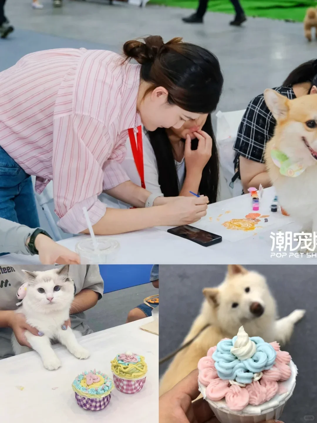 宠物市集摊主招募｜最后3个名额！