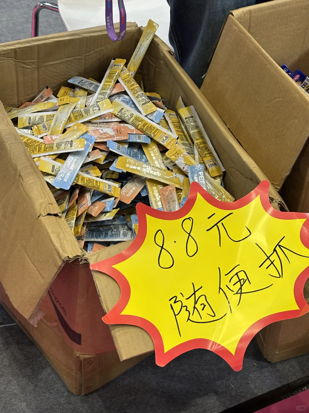 家有毛孩儿的快去会展中心！最后一天啦！?