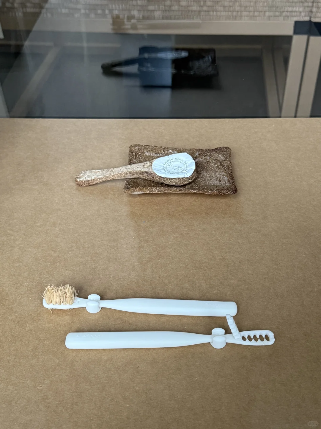上海好展 ｜ 绿动生长可持续设计展