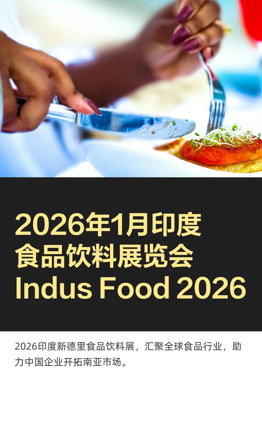 2026年1月印度食品饮料展览会Indus Food