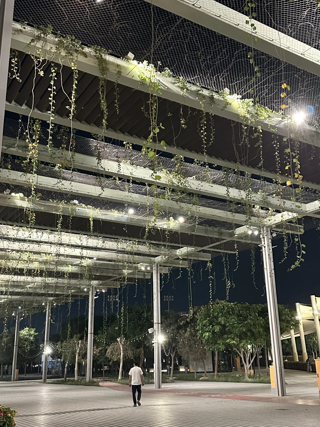 在迪拜Expo City❄️感受圣诞?