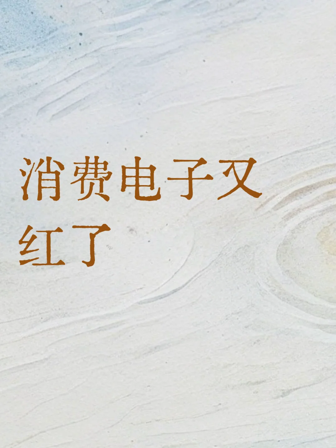 9.17丨消费电子