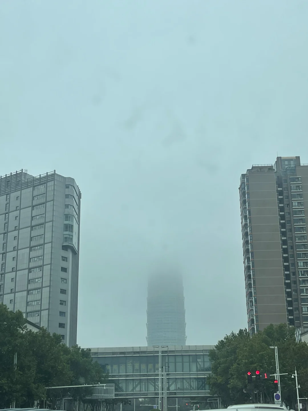 郑州宠物展