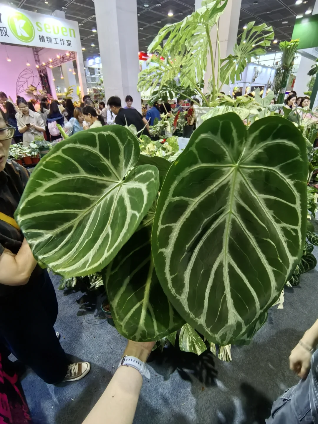 热植展去到就是赚到!年轻人的鸡蛋太多啦