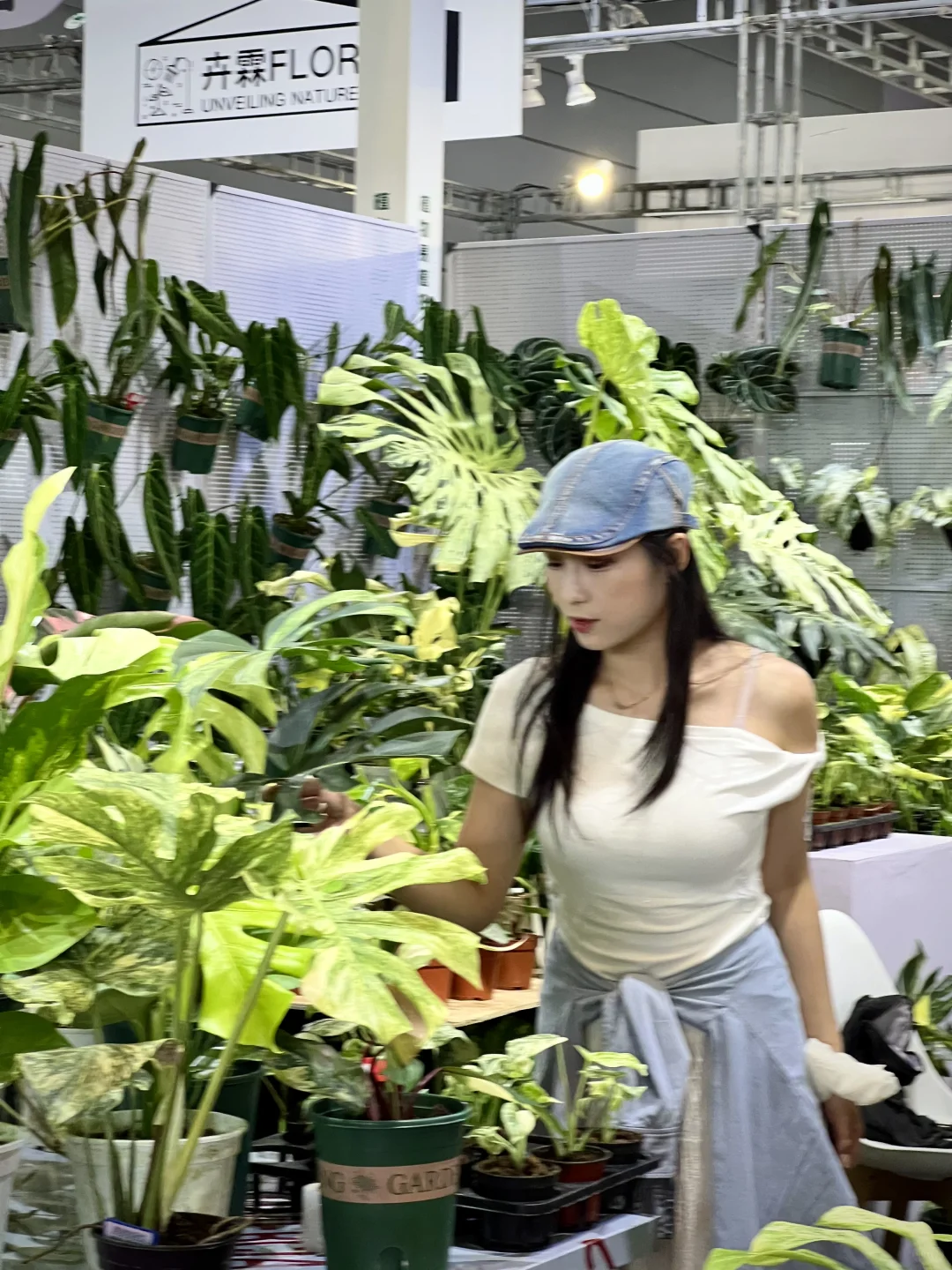 无锡免费入场的中花大会，只开三天！！