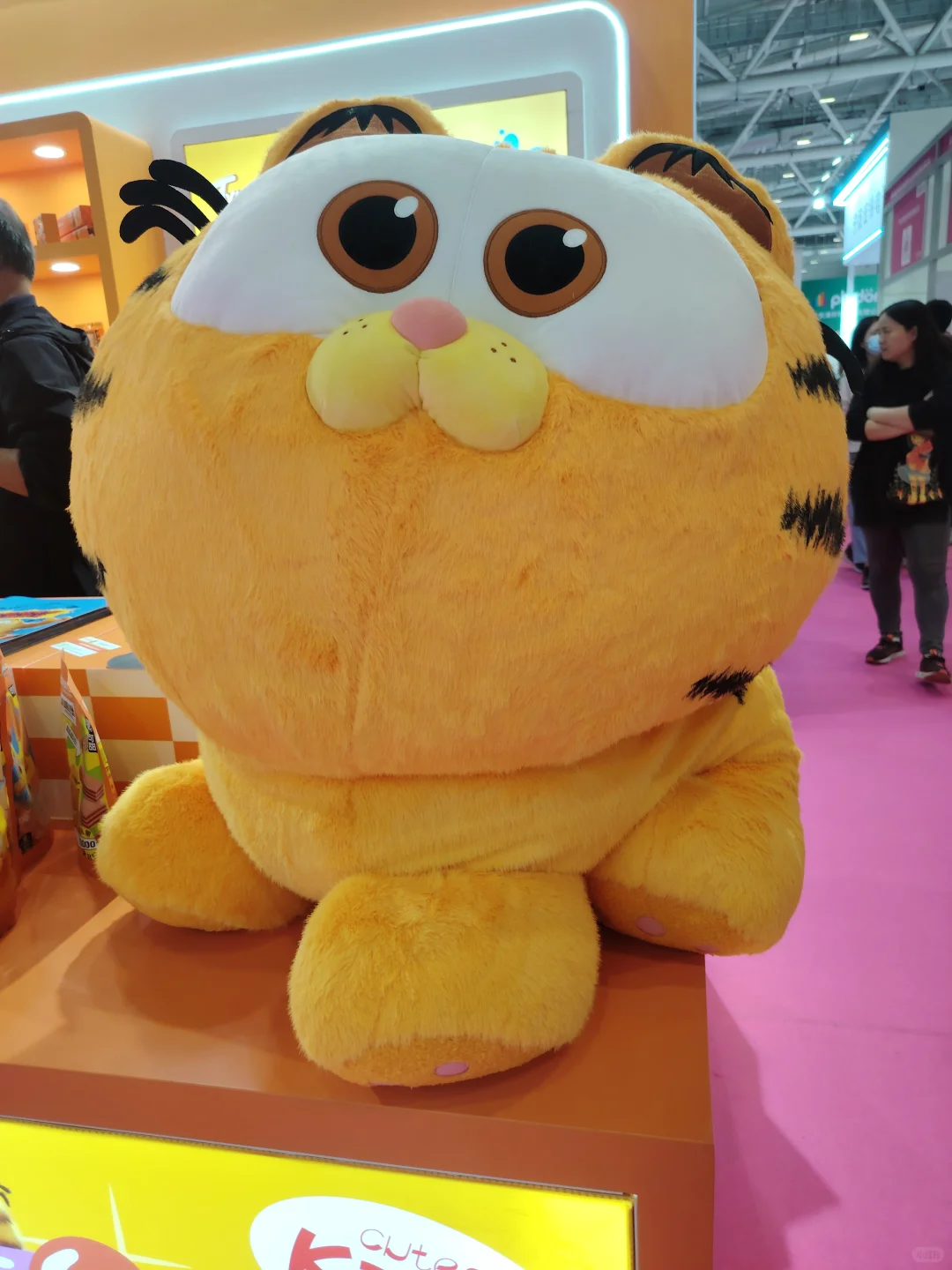 深圳国际会展