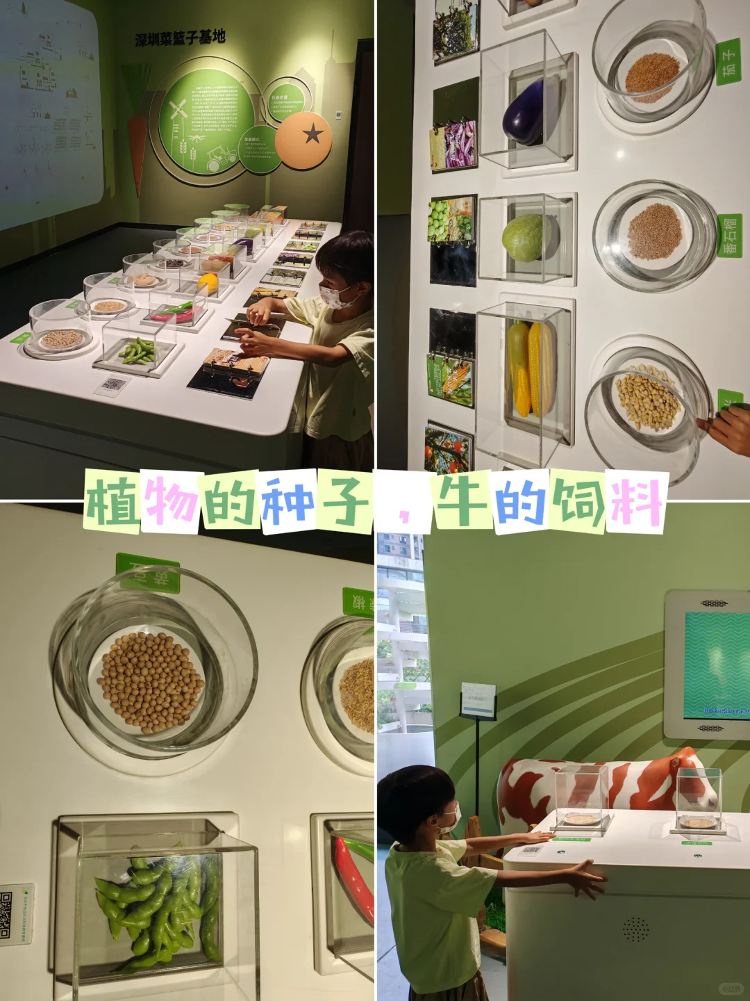 什么？！免费又好玩的食品科普馆竟然没人！