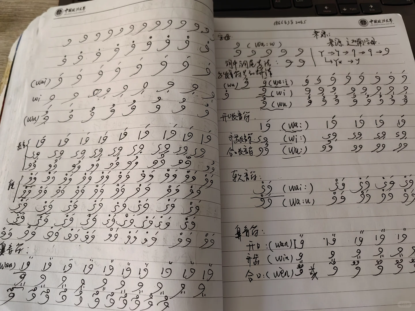 阿语，中东法律服务必备技能