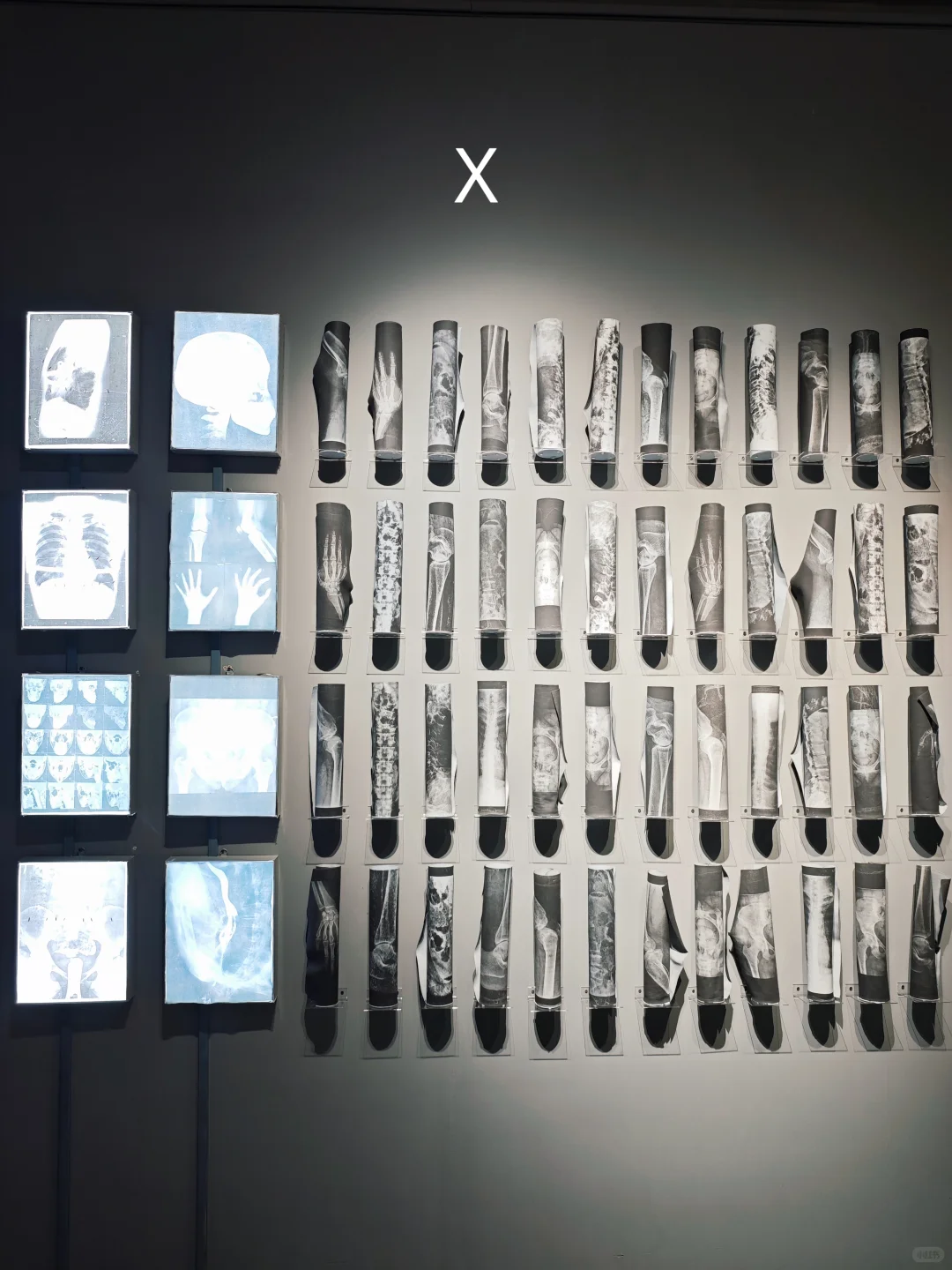 超震撼‼️广佛免费新展,周末来看展吧~